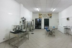 Laboratorio 3