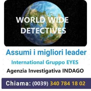 WORLD WIDE INVESTIGATOR DETECTIVES