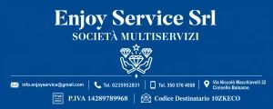 Pulizia professionale